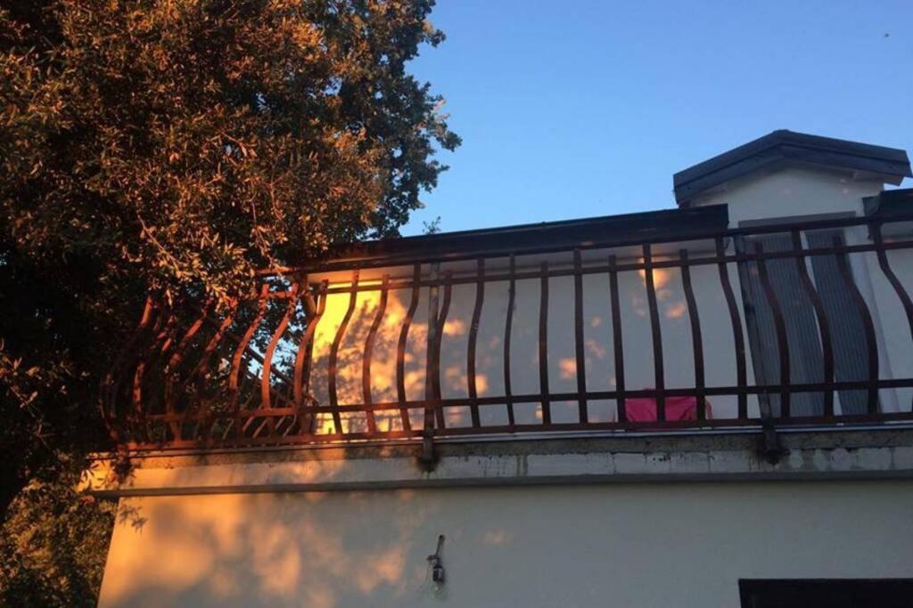 Viva 1 Rovinj Appartement Buitenkant foto